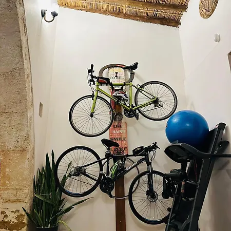 The Hermitage: Timeless Charm&beach&history Nearby *